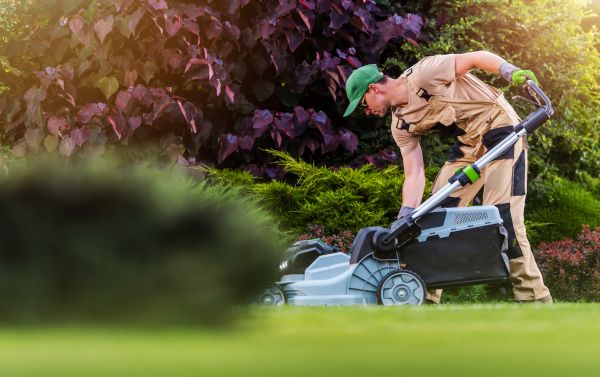 Cost of Lawn Care And Maintenance in Prescott
