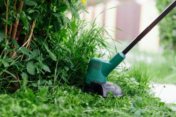 Cost of Weed Whacking in Prescott