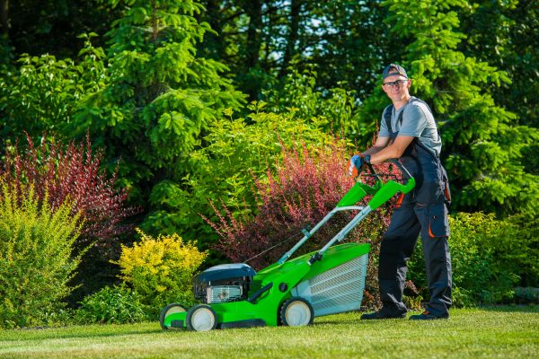 Cost of Yard Work Service in Prescott