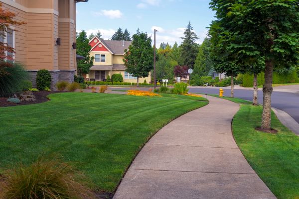 Cost of Home Lawn Maintenance in Prescott