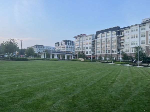 Cost of Urban Lawn Care in Prescott