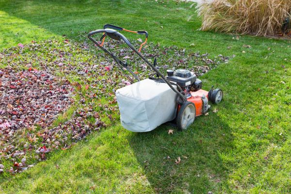 Cost of Seasonal Lawn Care in Prescott