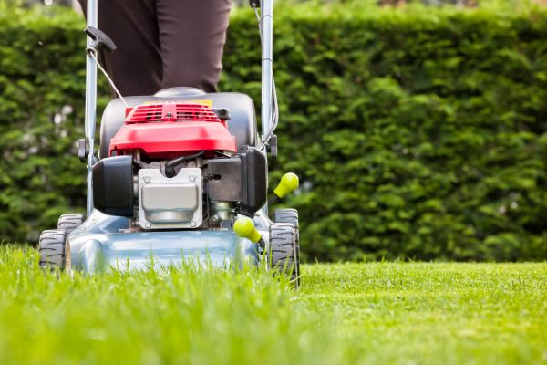 Cost of Grass Trimming Service in Prescott