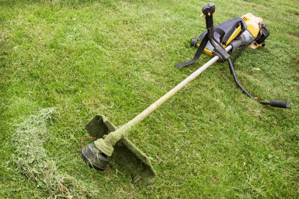 Cost of Hillside Weed Whacking in Prescott