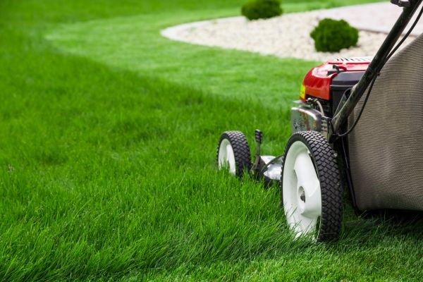 Weekly Mowing Service