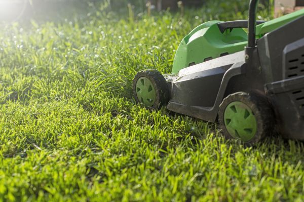 Cost of Lot Mowing in Prescott