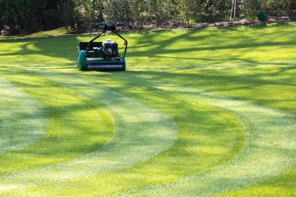 Business Lawn Mowing in Prescott