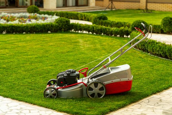 Business Grass Cutting in Prescott