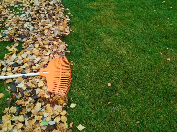 Cost of Fall Lawn Care in Prescott