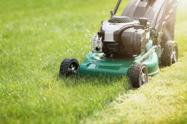 Cost of Spring Grass Trimming in Prescott