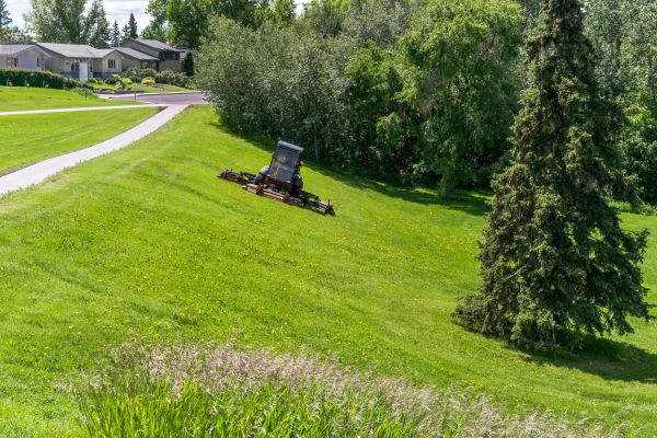 Cost of Sloped Area Mowing in Prescott