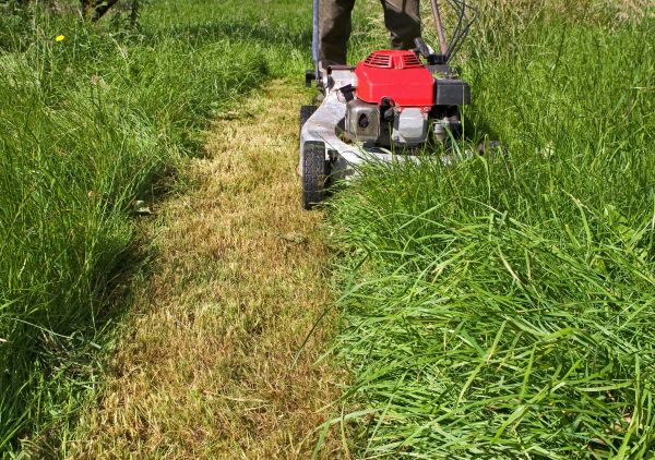 Cost of Leaf Mowing in Prescott