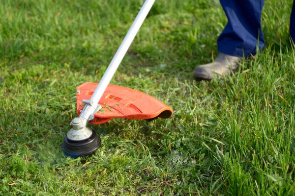 Cost of Lawn Weed Whacking in Prescott