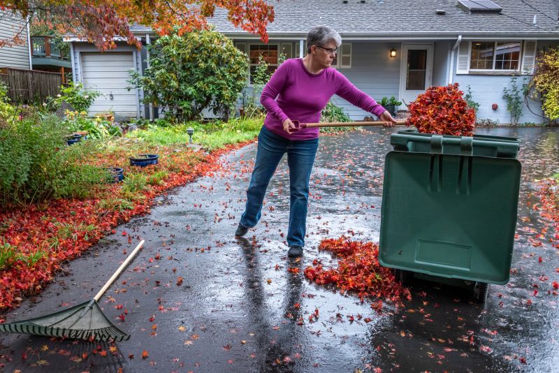 Autumn Landscape Cleanup