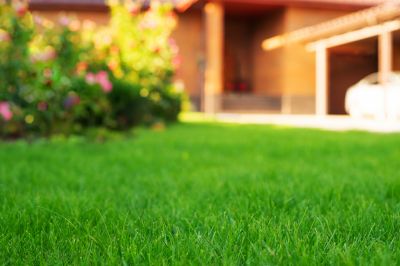Lawn Care Service detail