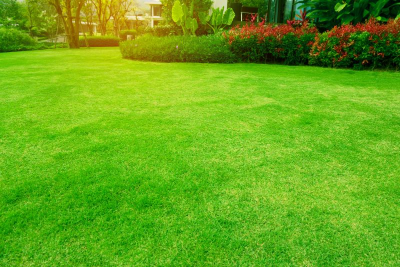 Lawn Management