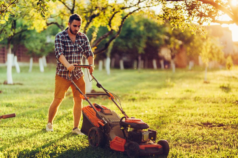 Spring Lawn Maintenance