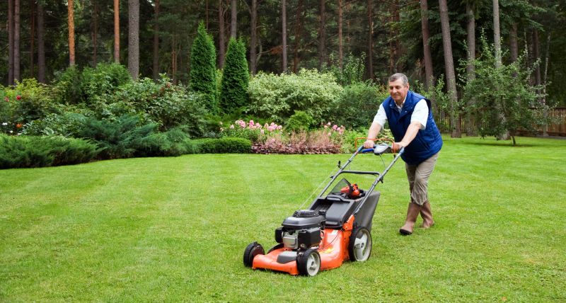 Affordable Lawn Maintenance